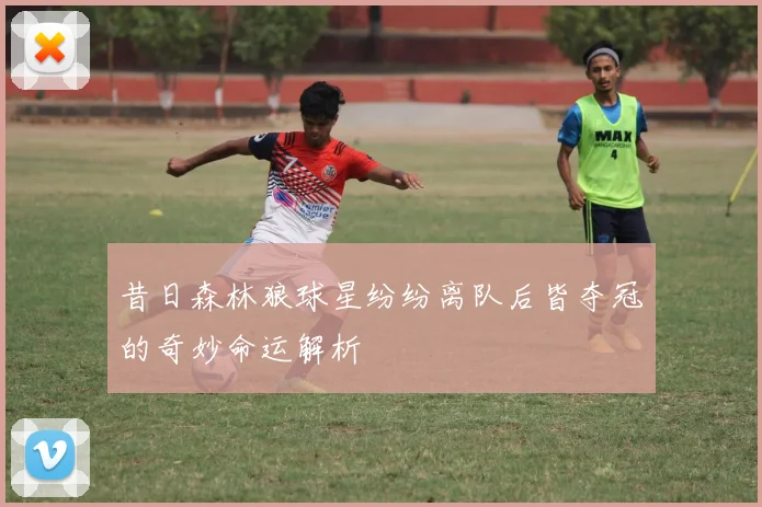 昔日森林狼球星纷纷离队后皆夺冠的奇妙命运解析
